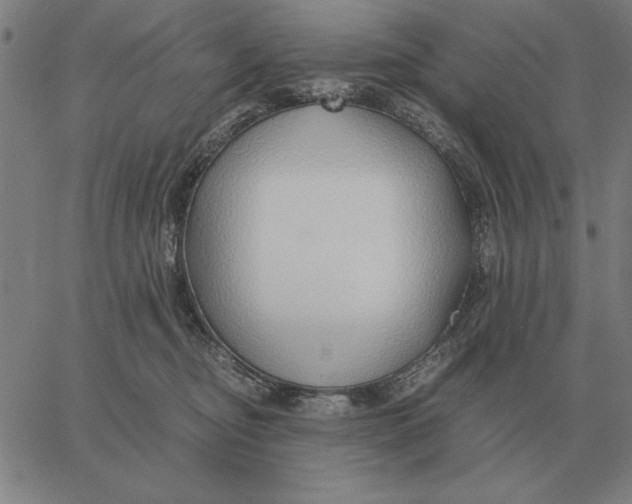 X0000061720374200512231414