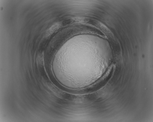 X0000061720376200512231415