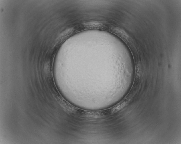 X0000061720377200512231415