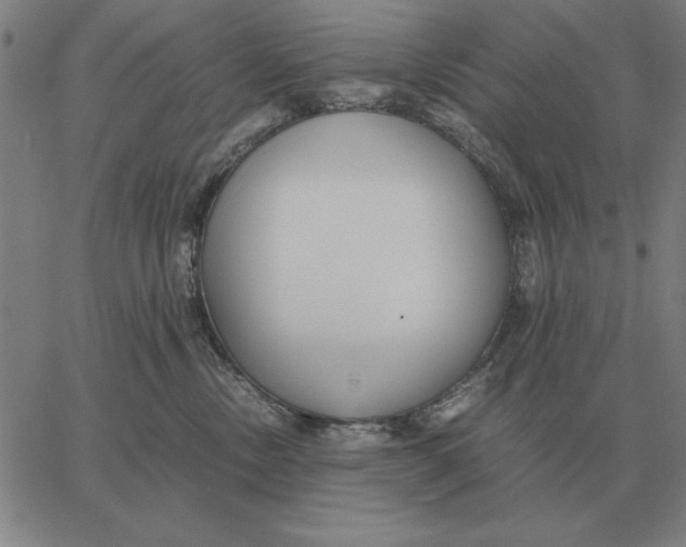 X0000061720378200512231415