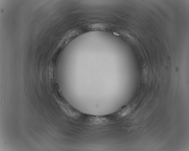 X0000061720379200512231415