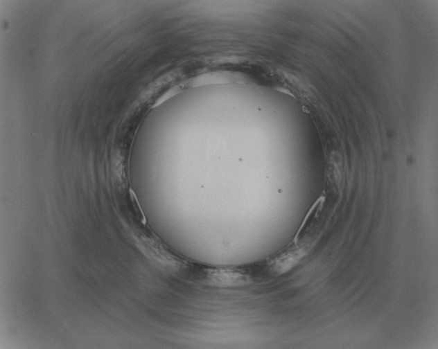 X0000061720380200512231415