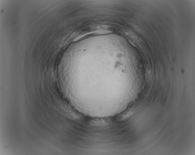 X0000061720381200512231415