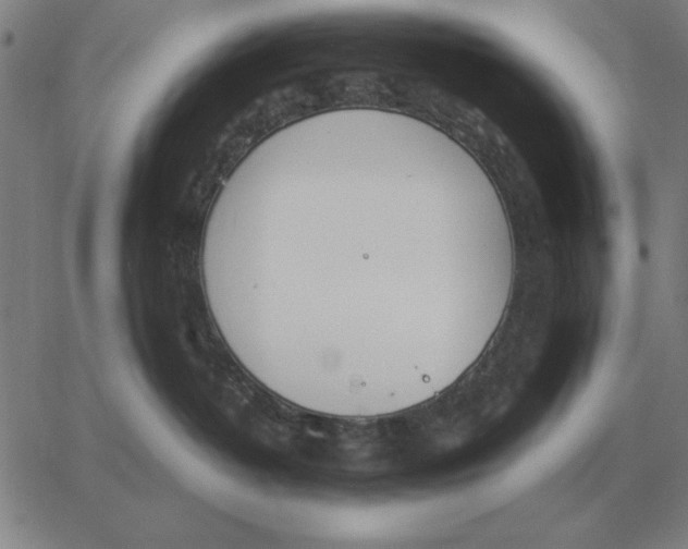 X0000061720382200512231415