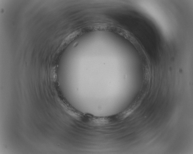 X0000061720383200512231415