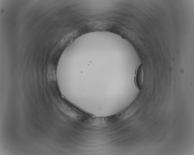 X0000061720384200512231415