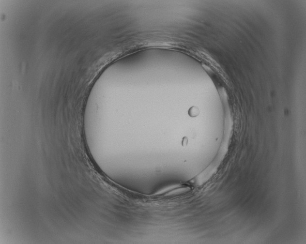 X0000061720385200512231414