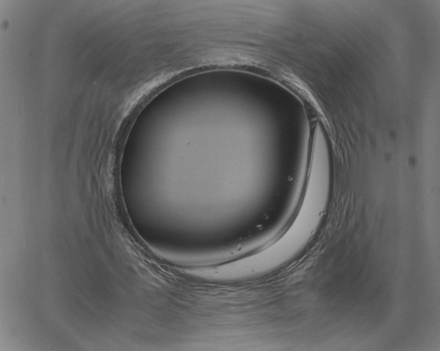 X0000061720387200512231414