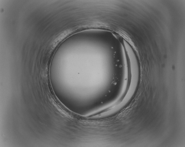 X0000061720389200512231414