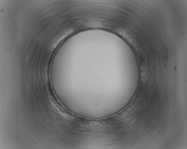 X0000061720390200512231414