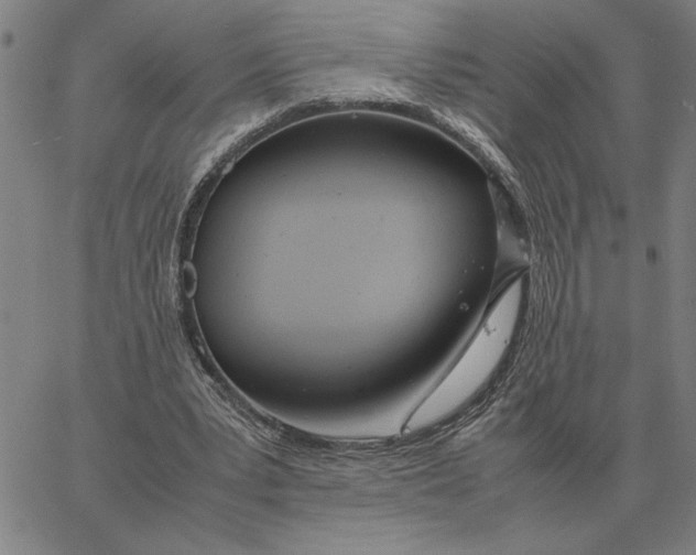 X0000061720391200512231414