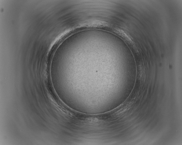 X0000061720392200512231414