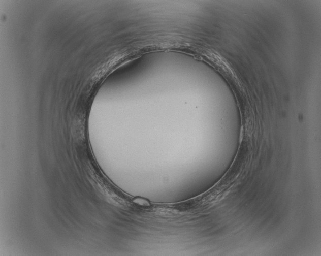 X0000061720393200512231414