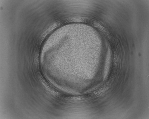 X0000061720394200512231414