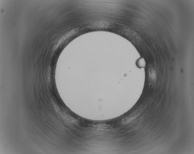 X0000061720396200512231414