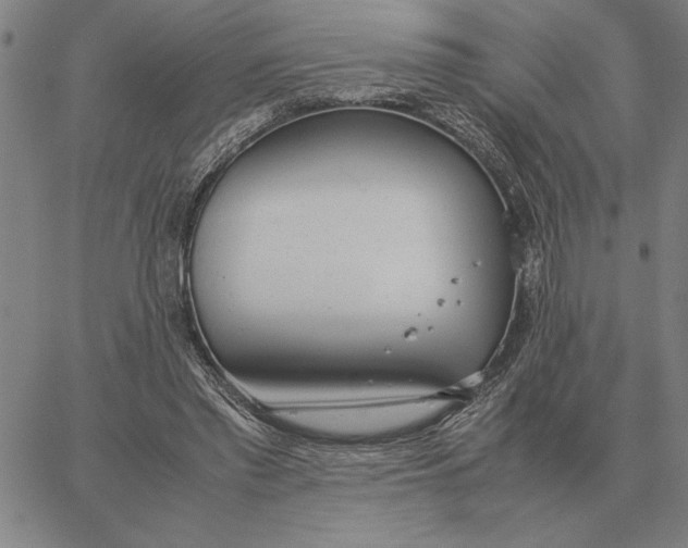 X0000061720397200512231414