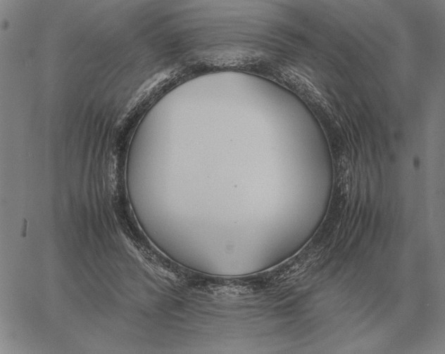 X0000061720400200512231414