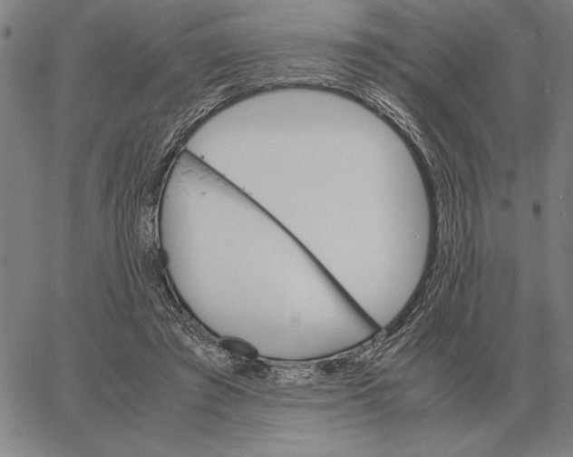 X0000061720401200512231414