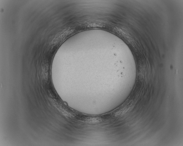 X0000061720402200512231414