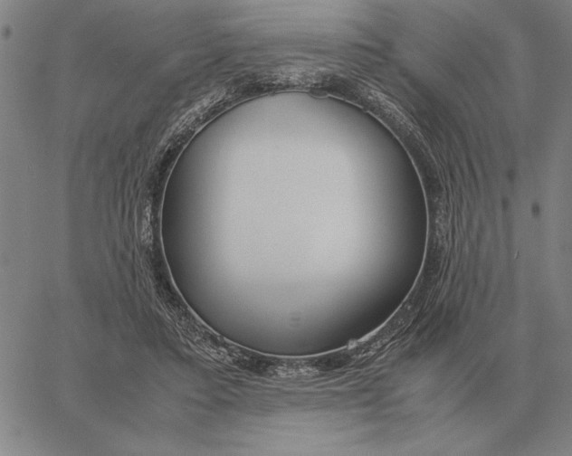 X0000061720403200512231414