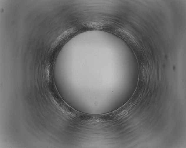 X0000061720404200512231414