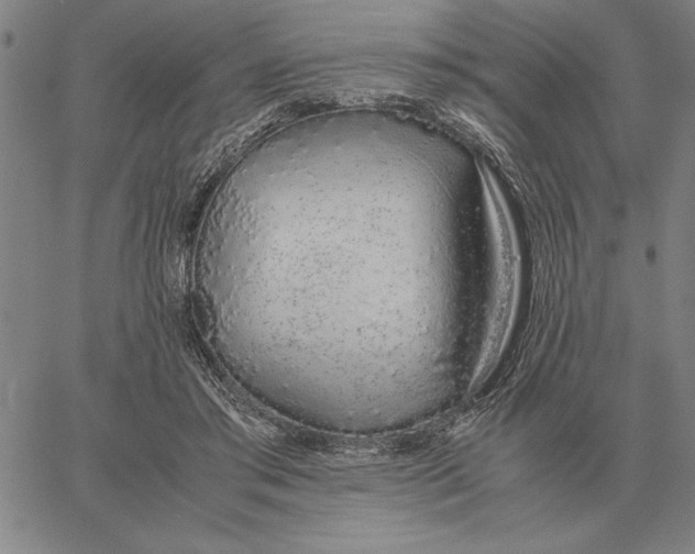 X0000061720405200512231414