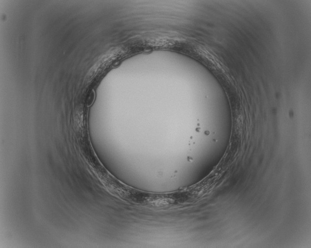 X0000061720407200512231413