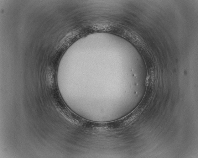 X0000061720408200512231413