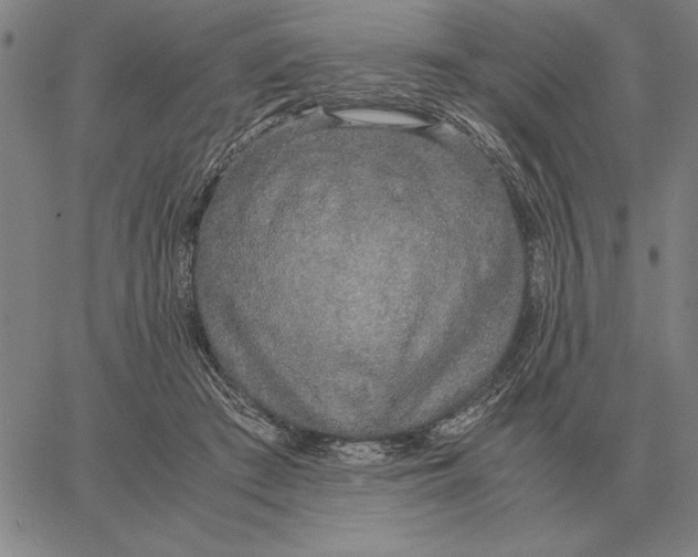 X0000061720409200512231413