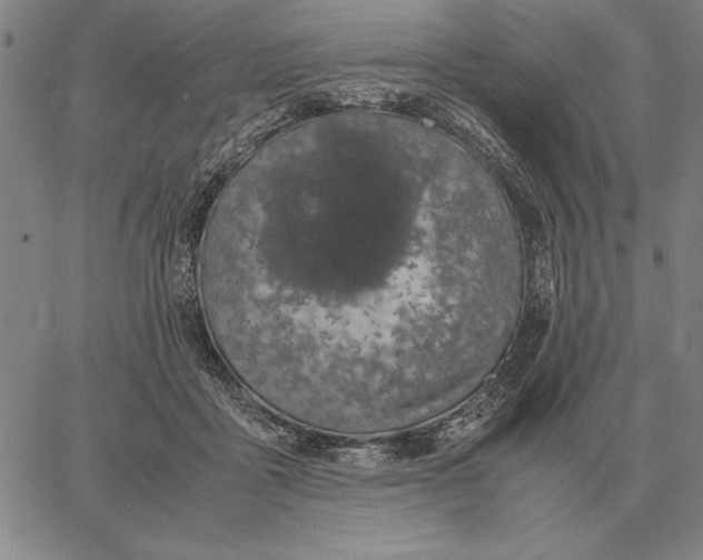 X0000061720411200512231413