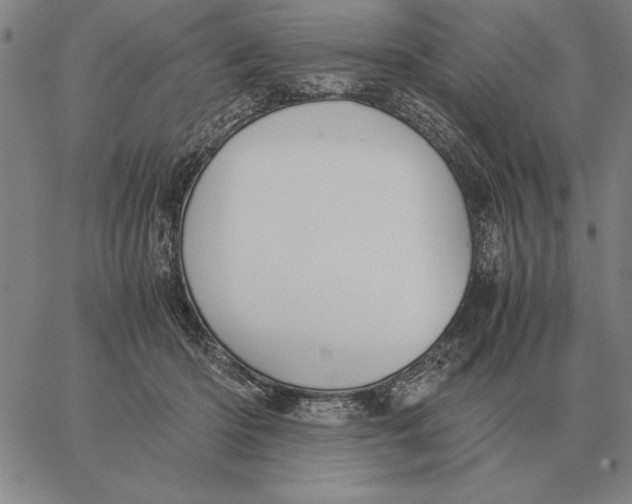 X0000061720414200512231413