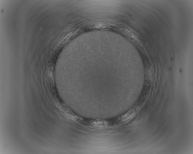 X0000061720415200512231413