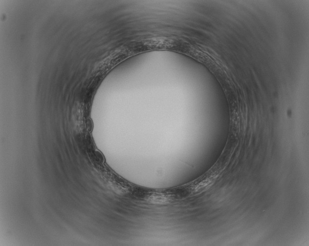 X0000061720416200512231413