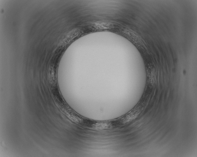 X0000061720418200512231413