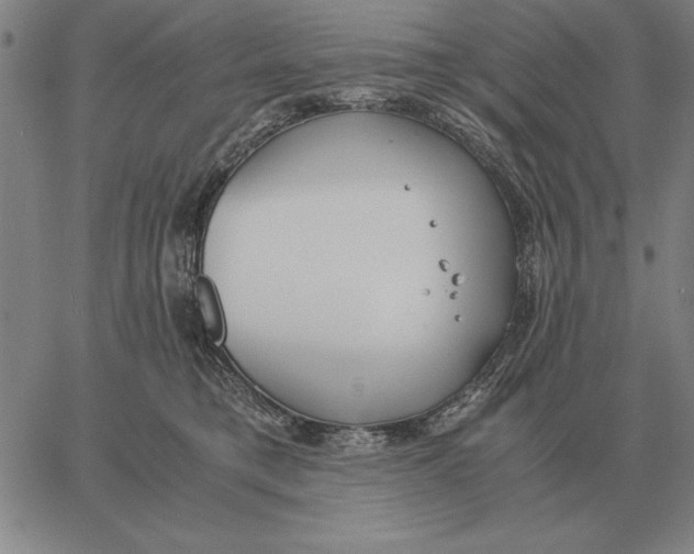 X0000061720421200512231413