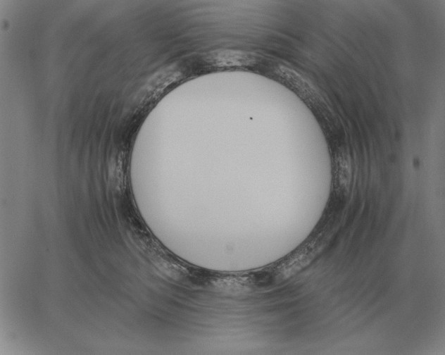 X0000061720422200512231413