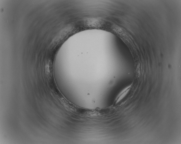 X0000061720424200512231413