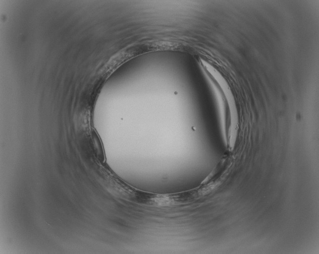 X0000061720425200512231413