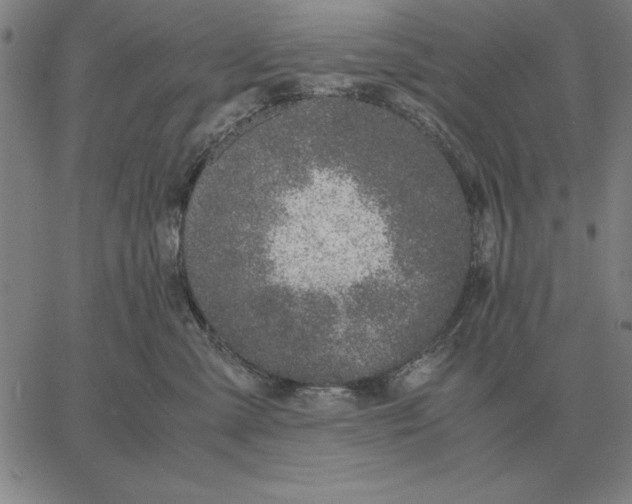 X0000061720427200512231413