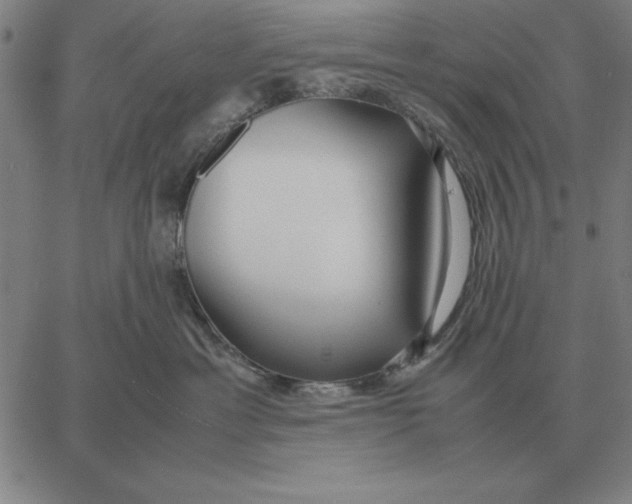 X0000061720429200512231413