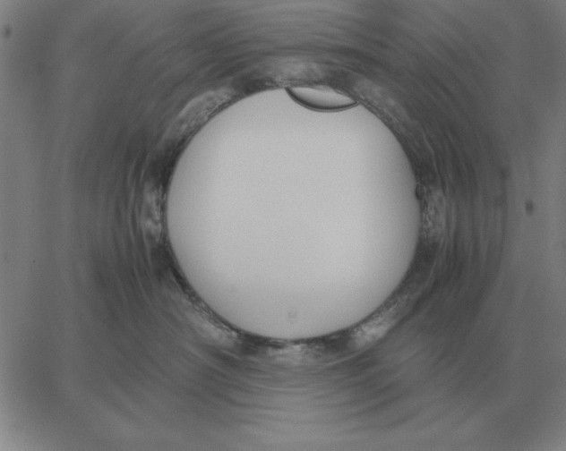 X0000061720430200512231413