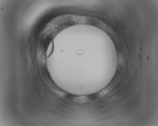 X0000061720431200512231413