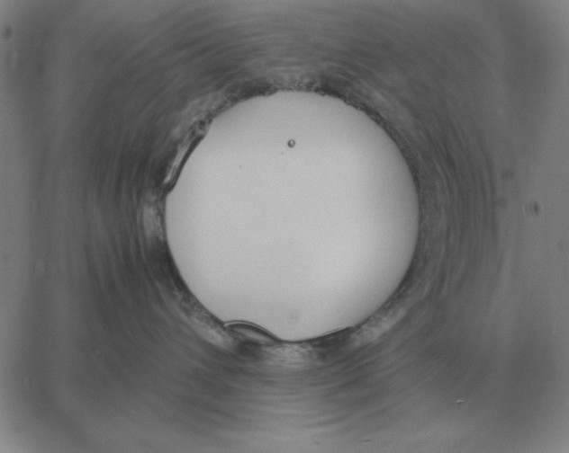 X0000061720432200512231413