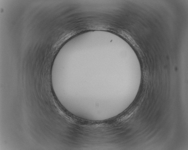 X0000061720433200512231412