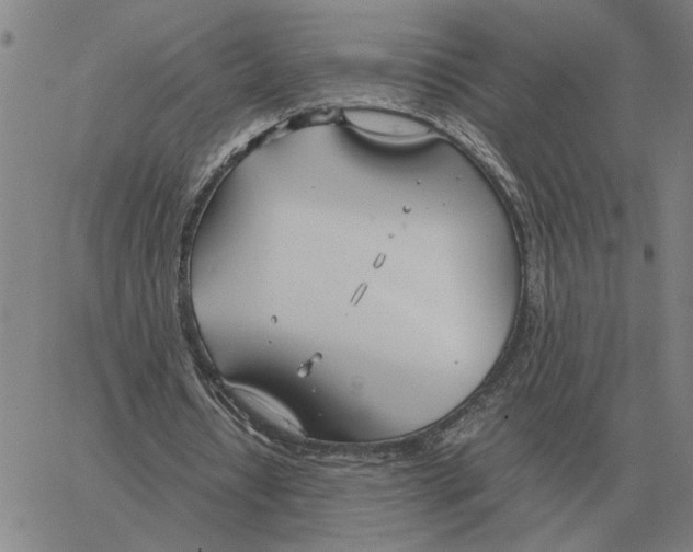 X0000061720434200512231412