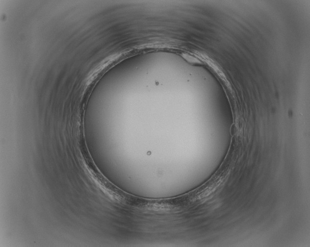 X0000061720437200512231412