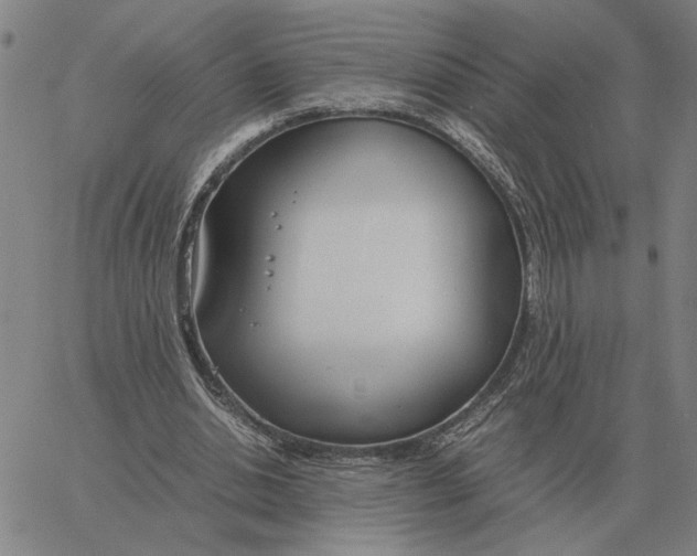 X0000061720438200512231412