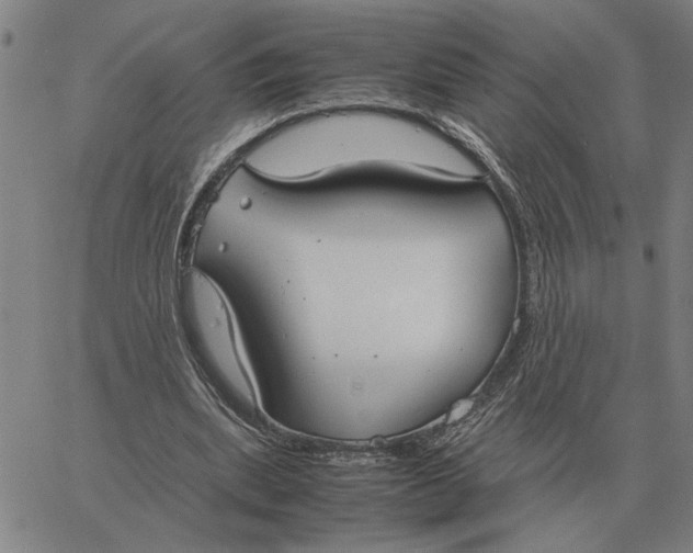 X0000061720439200512231412