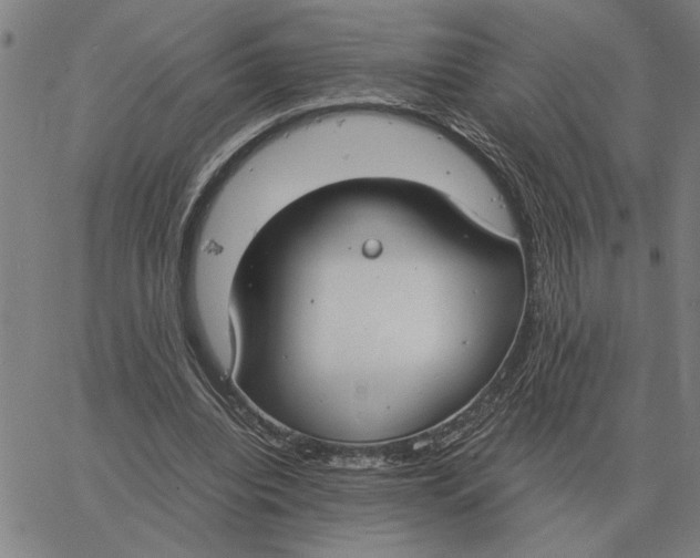 X0000061720440200512231412