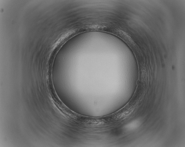 X0000061720443200512231412